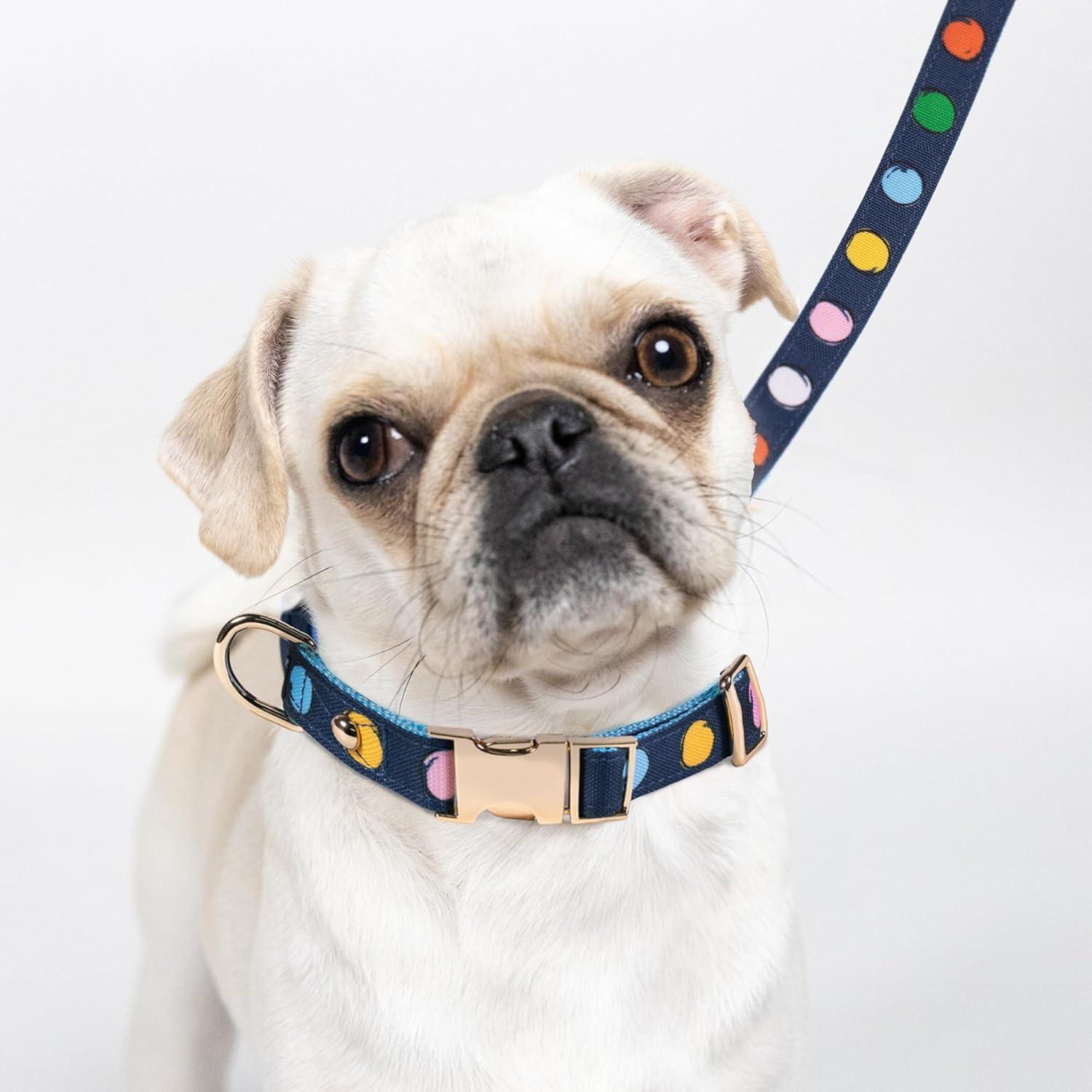 imagekate spade new york Cute Dog Collar with Gold Metal Details ampamp Plastic Buckle 105 to 135 Adjustable Dog Collar for Female or Male Dogs Small to Medium Dogs Watercolor Dot