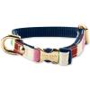imageKate Spade New York Cute Dog Collar with Gold Metal Buckle 8quot to 105quot Adjustable Collar for Female or Male Extra Small Dogs Navy GinghamAdventure Stripe